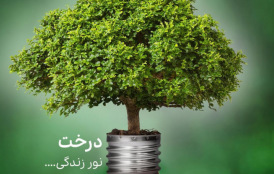 راهکارهای ساده برای مراقبت از محیط زیست در سفر
